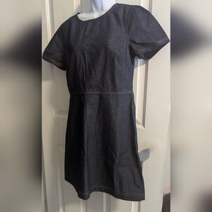 Ann Taylor Petite Puff Sleeve Flare Dress Sz: 8 petite NWT